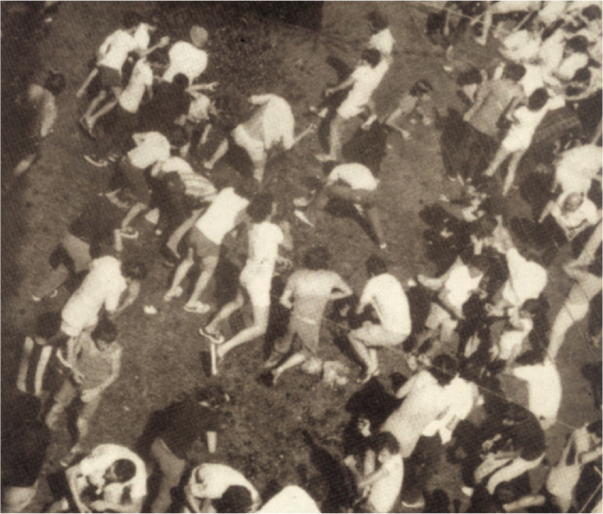 History of La Tomatina
