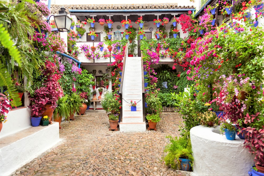 Patio Route Tours cordoba spanaly