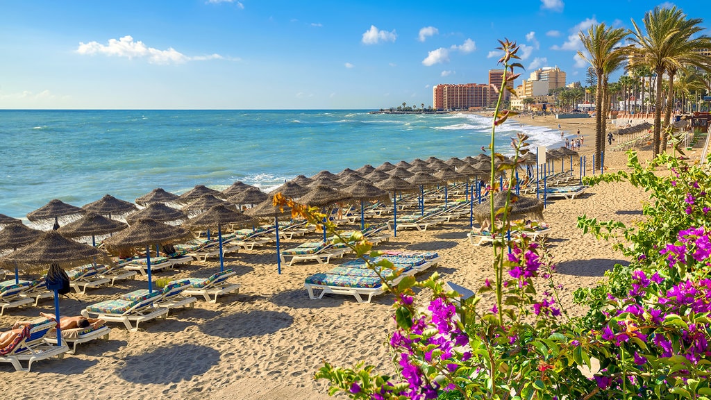 Sun, Sea, and the Costa del Sol Lifestyle