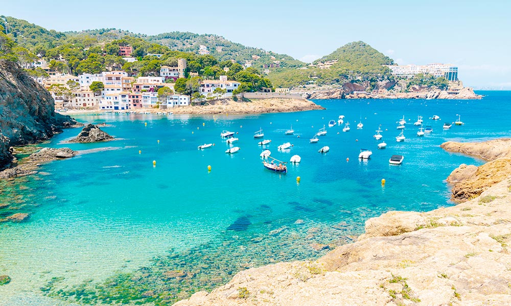 Ibiza Spain spanaly