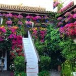 Discover Córdoba’s stunning Patios Festival SPANALY