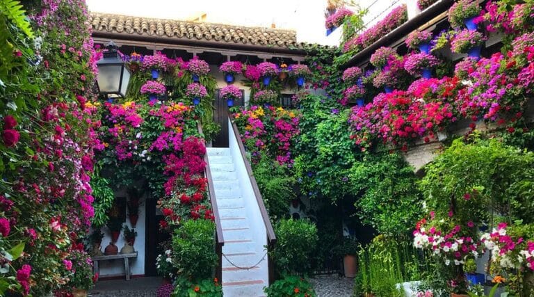 Discover Córdoba’s stunning Patios Festival SPANALY