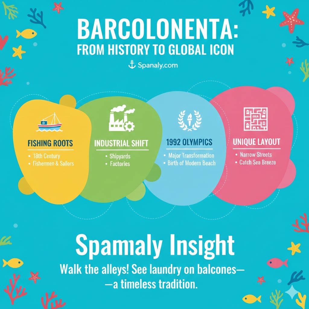 Infographic by Spanaly showing the history of Barceloneta Beach, from its 18th-century fishing roots and industrial shift to the 1992 Olympics transformation and its unique narrow streets.