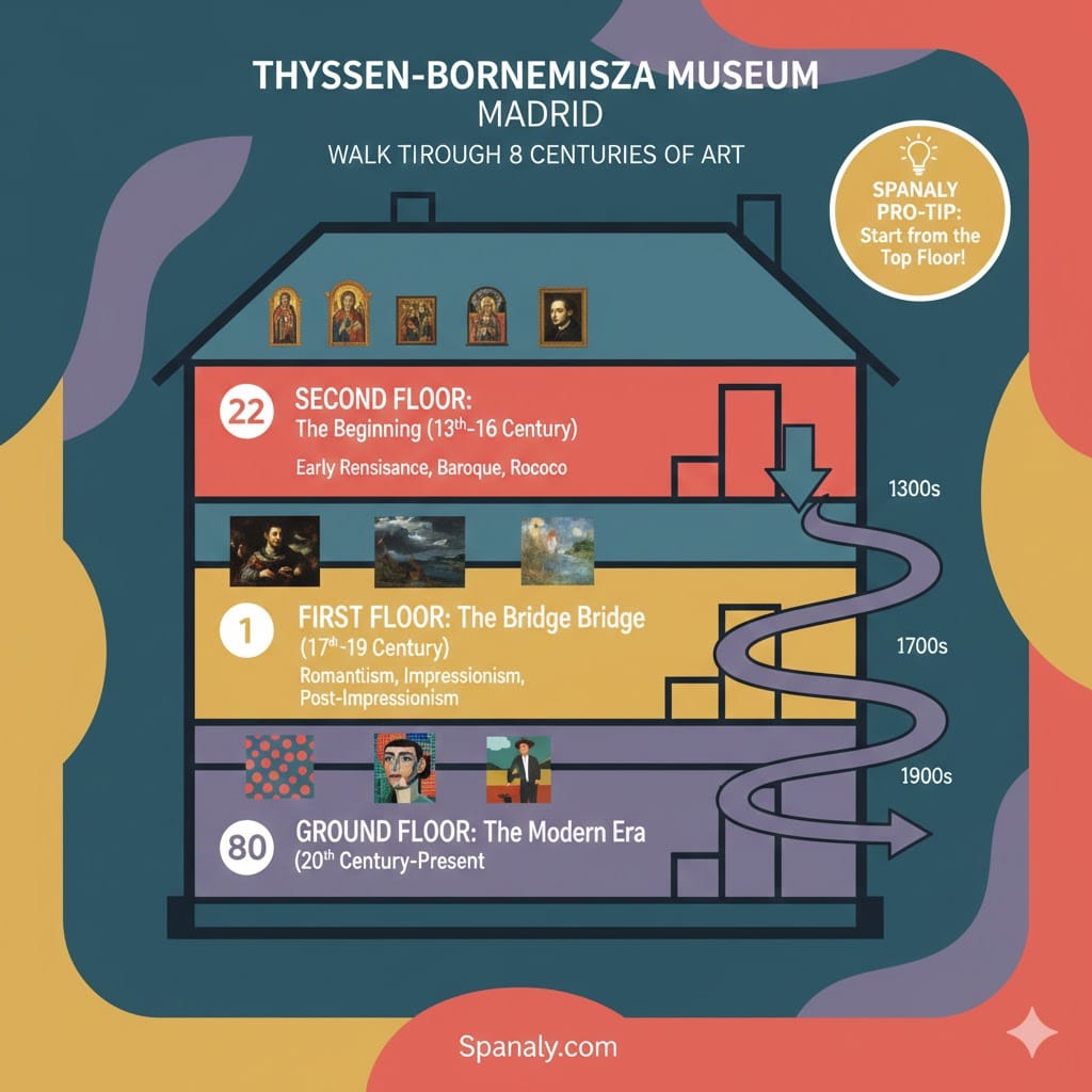 Infographic of Thyssen-Bornemisza Museum Madrid floor guide showing the chronological art journey from the 2nd floor to the ground floor.