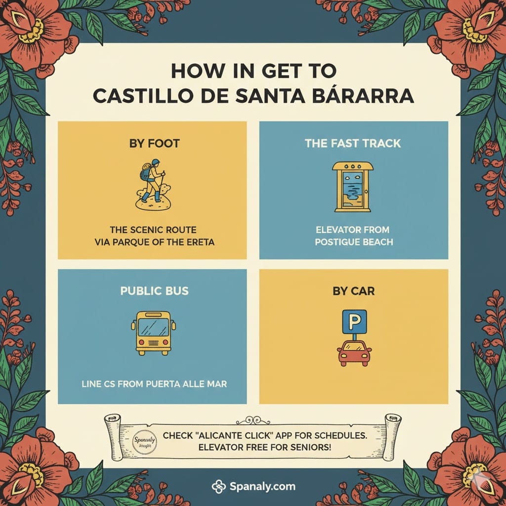 A colorful infographic titled 'How to Reach Castillo de Santa Bárbara'. The graphic shows four icons: a person hiking (By Foot via Parque de la Ereta), an elevator (The Fast Track from Postiguet Beach), a shuttle bus (Line CS), and a car. It includes a Spanaly Insight note about the free elevator for seniors and the Alicante Click app.