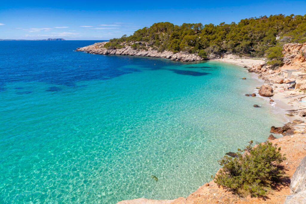 A stunning view of Cala Saladeta in Ibiza, Spain, featuring vibrant turquoise Mediterranean waters, soft golden sand, and lush green hills with a rocky cliff path leading to the shore.