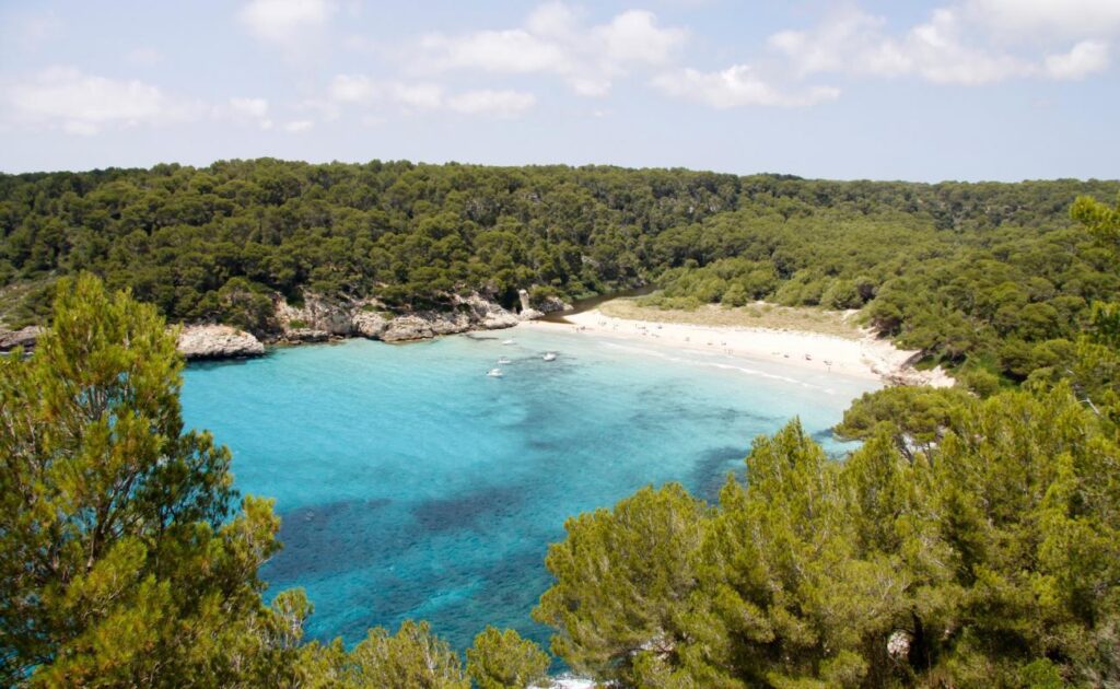 A scenic view of Cala Trebalúger in Menorca, Spain, showing a pristine white sand beach surrounded by a dense Mediterranean pine forest and turquoise crystal-clear waters.