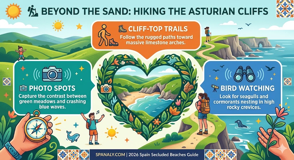 A colorful infographic showing hiking activities beyond the sand at Playa de Gulpiyuri, featuring cliff-top trails, photography spots, and bird watching tips.
