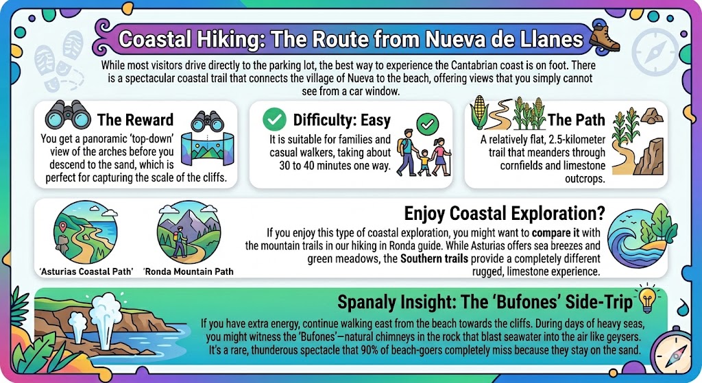 An infographic detailing the coastal hiking route from Nueva de Llanes to the beach, featuring path details, an 'Easy' difficulty rating, the panoramic cliff reward, and a side-trip to the Bufones geysers on the Asturias coast.