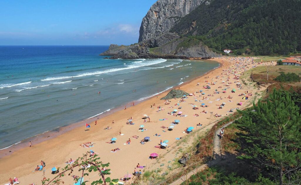 A majestic landscape of Playa de Laga in the Basque Country, featuring golden sands, Atlantic Ocean waves, and the towering green cliffs of Cape Ogoño under a dramatic sky.