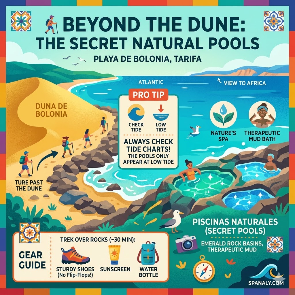 A vibrant infographic showing the secret natural pools beyond Bolonia Dune, featuring tactical advice on low tide timing, therapeutic mud baths, and the necessary hiking gear for the rocky trek.