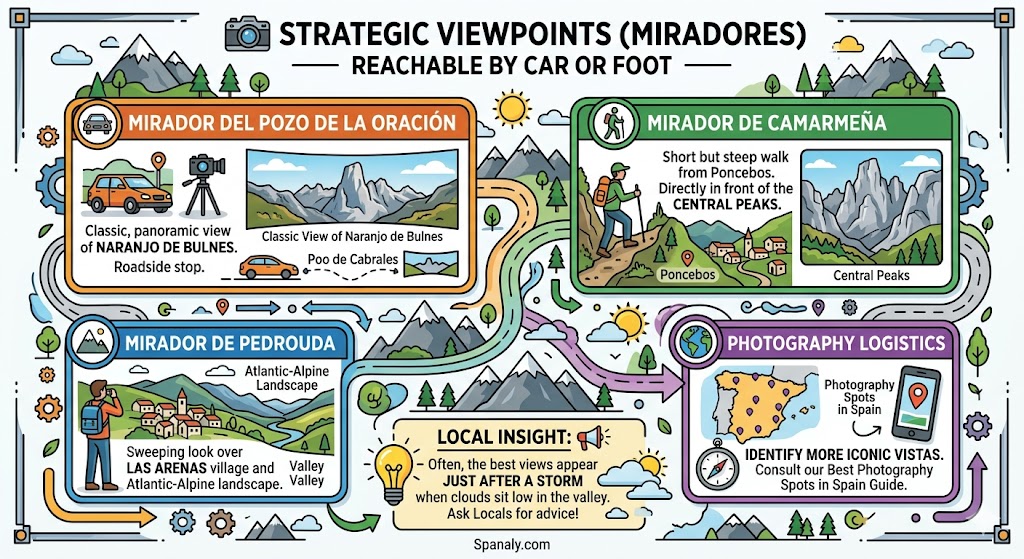 Infographic showing strategic viewpoints in Picos de Europa reachable by car or foot including Mirador del Pozo de la Oración and Camarmeña.