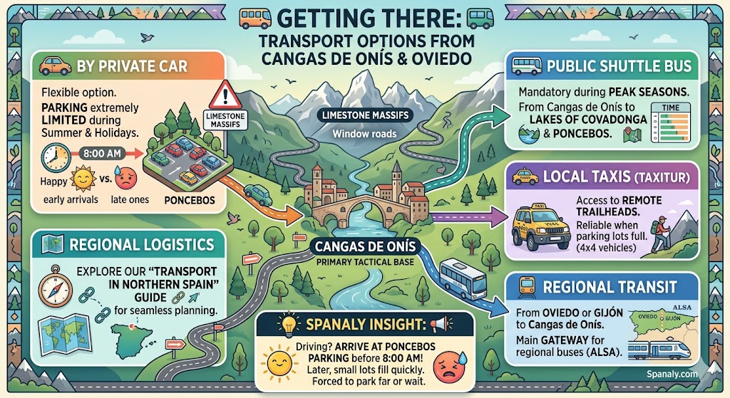 Infographic showing transport options to Picos de Europa from Cangas de Onis and Oviedo including shuttle buses, private cars, and local taxis.